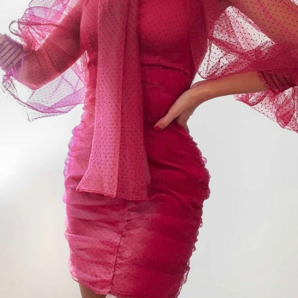 ZARA | Bloggers Fave Tulle Swiss Dot Dress Fuchsia - Picture 3 of 16